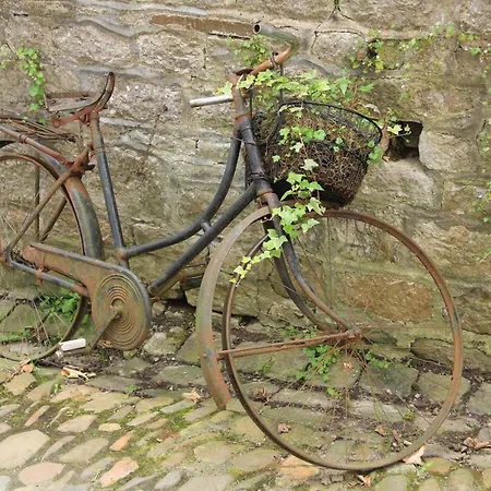 红衣酒庄公寓 公寓 *