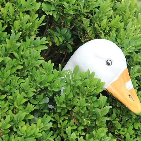 Chateau Cardinal Lägenhet