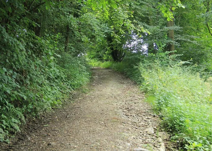 Apartment Chateau Cardinal