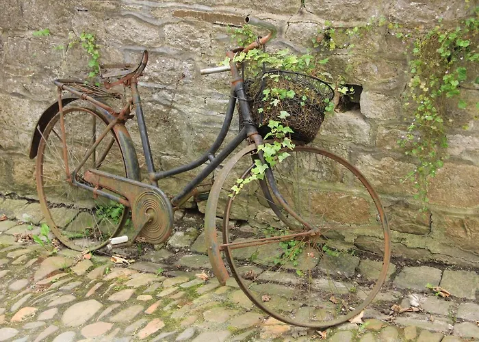 Chateau Cardinal Apartment *