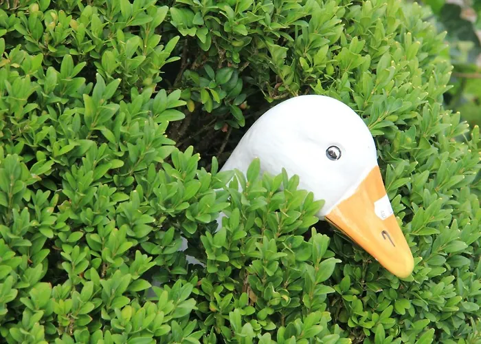 Chateau Cardinal Apartment